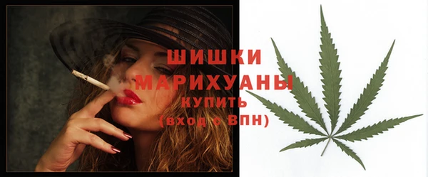 spice Гусев