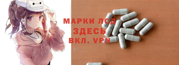 spice Гусев