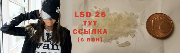 spice Гусев