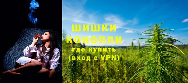 spice Гусев