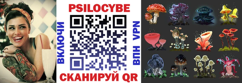 Купить  Тюкалинск  Псилоцибиновые грибы Psilocybe 